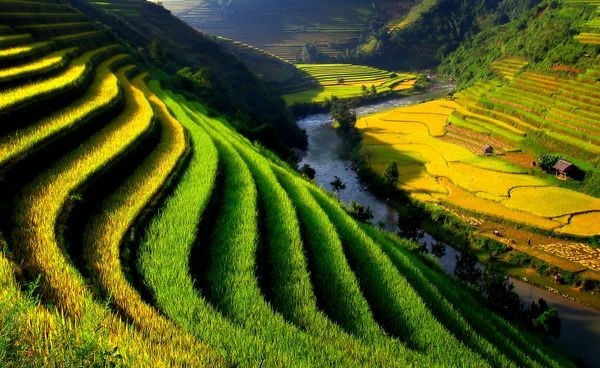 Hãy chiêm ngưỡng những danh lam thắng cảnh Việt Nam đẹp như trong tranh vẽ! Từ những vách đá đồi núi, rừng xanh rực rỡ, đến những bãi biển huyền ảo, tất cả đều làm say mê lòng người. Những hình ảnh tuyệt đẹp sẽ khiến bạn thấy tự hào về quê hương mình.